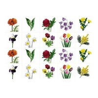 Комплект карточек. Серия наглядных пособий "Запоминай, играй, считай". Цветы. - «globural.ru» - Воркута