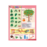 Комплект таблиц. Окружающий мир 5-6 лет. "Животные и растения". - «globural.ru» - Воркута