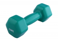 Гантель виниловая 2,5 кг - «globural.ru» - Воркута