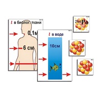 Модель-аппликация "Явление радиоактивности" (ламинированная) - «globural.ru» - Воркута