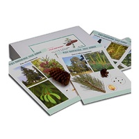 Коллекция "Голосеменные растения" (вариант 2) - «globural.ru» - Воркута