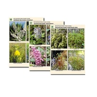 Комплект таблиц по ботанике раздаточных"Многообразие растений. Лесные и луговые" (16 штук, формат А4, лам) - «globural.ru» - Воркута