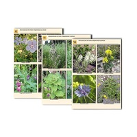 Комплект таблиц по ботанике раздаточных "Многообразие растений. Придорожные и сорные" (16 штук, формат А4, лам) - «globural.ru» - Воркута