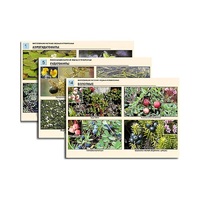 Комплект таблиц по ботанике раздаточных "Многообразие растений. Водные и прибрежные" (16 штук, формат А4, лам) - «globural.ru» - Воркута