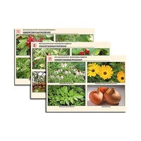 Комплект таблиц по ботанике раздаточных "Многообразие растений. Лекарственные и ядовитые"(16 штук, формат А4,лам) - «globural.ru» - Воркута