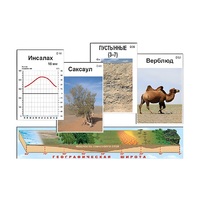 Модель-аппликация "Природные зоны" (ламинированная) - «globural.ru» - Воркута