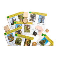 Коллекция "Древесные растения и их распространение" (демонстрационная) - «globural.ru» - Воркута