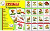 Демонстрационные карточки  "Грибы съедобные и не съедобные" - «globural.ru» - Воркута