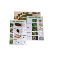 "Шишки, плоды, семена деревьев и кустарников" - «globural.ru» - Воркута