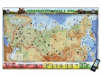 Электронно-информационный (маркерный) стенд "Природа России" адаптивный, с сенсорным пультом управления и планшетом со шрифтом Брайля (география) - «globural.ru» - Воркута