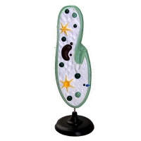 Модель инфузории-туфельки - «globural.ru» - Воркута