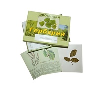 Гербарий "Дикорастущие растения" (30 видов, с иллюстрациями) - «globural.ru» - Воркута