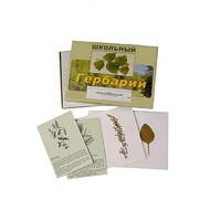 Гербарий "Лекарственные растения" (22 вида, с иллюстрациями) - «globural.ru» - Воркута