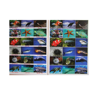 Английское лото "Подводный мир" - «globural.ru» - Воркута