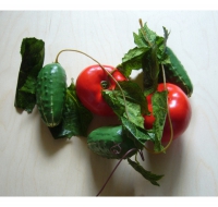 Ветка муляжей "Ассорти" (овощи) - «globural.ru» - Воркута