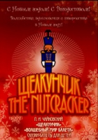 DVD "Щелкунчик. Волшебный мир балета" сказка-балет для детей - «globural.ru» - Воркута