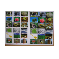 Английское лото "На прогулке" - «globural.ru» - Воркута