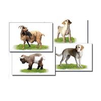 Набор карточек "Домашние животные" (раздаточные) - «globural.ru» - Воркута