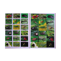 Английское лото "Насекомые" - «globural.ru» - Воркута