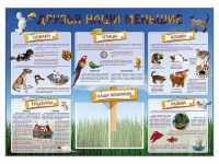 Стенд-уголок "Друзья наши меньшие" - «globural.ru» - Воркута