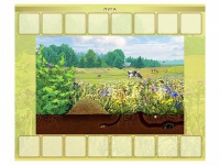 Магнитно-маркерный плакат "Луга" с набором магнитных карточек + методические рекомендации - «globural.ru» - Воркута