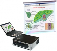 Диск с электронными плакатами, презентациями (электронный учебник) по биологии (150 тем)  - «globural.ru» - Воркута