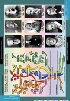 Биология. Введение в Экологию (комплект таблиц) - «globural.ru» - Воркута