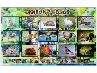 Комплект оборудования "Живой уголок" (животные) с тифлопереводом и сурдокомментариями - «globural.ru» - Воркута