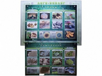 Комбинированный модульный комплекс "Лого-биолог" - «globural.ru» - Воркута