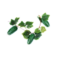 Муляж "Ветка огурцов" - «globural.ru» - Воркута