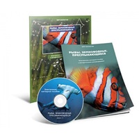 Электронное наглядное пособие «Рыбы. Земноводные. Пресмыкающиеся» - «globural.ru» - Воркута