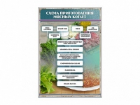 Стенд "Схема приготовления мясных котлет" - «globural.ru» - Воркута