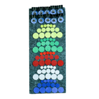 Дидактический набор «Кружки и зажимы» - «globural.ru» - Воркута