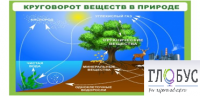 Стенд "Круговорот веществ" - «globural.ru» - Воркута