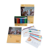 Методическое пособие Cuboro – думай креативно - «globural.ru» - Воркута