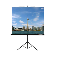 Проекционный экран на штативе Lumien Eco View (LEV-100105) 160x160 см - «globural.ru» - Воркута