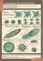 Биология 7 класс. Животные (комплект таблиц) - «globural.ru» - Воркута