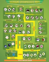 Стенд "Эволюция органического мира" - «globural.ru» - Воркута