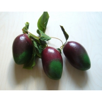 Муляж "Ветка манго" - «globural.ru» - Воркута