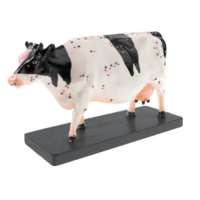 Электрифицированный макет коровы на каркасе - «globural.ru» - Воркута