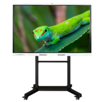 Интерактивный комплекс Geckotouch ​​​​​​​65RK - «globural.ru» - Воркута