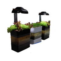 Учебная установка "Аквапоника"  - «globural.ru» - Воркута