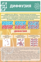 Стенд "Диффузия" - «globural.ru» - Воркута