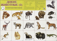Раздаточные карточки "Дикие животные" часть 2 - «globural.ru» - Воркута