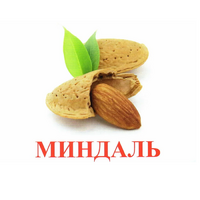 Карточки Домана "Орехи-Ягоды-2" - «globural.ru» - Воркута