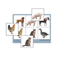 Лото "Домашние животные" (4 планшета, 24 карточки, цветное, ламинированное) - «globural.ru» - Воркута