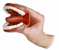 Муляж артикуляционного аппарата - «globural.ru» - Воркута