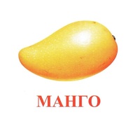 Карточки Домана "Экзотические фрукты" - «globural.ru» - Воркута