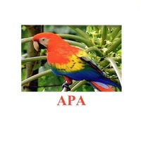 Карточки Домана "Птицы-2" - «globural.ru» - Воркута