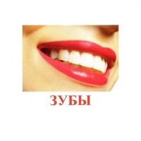 Карточки Домана "Части тела" - «globural.ru» - Воркута